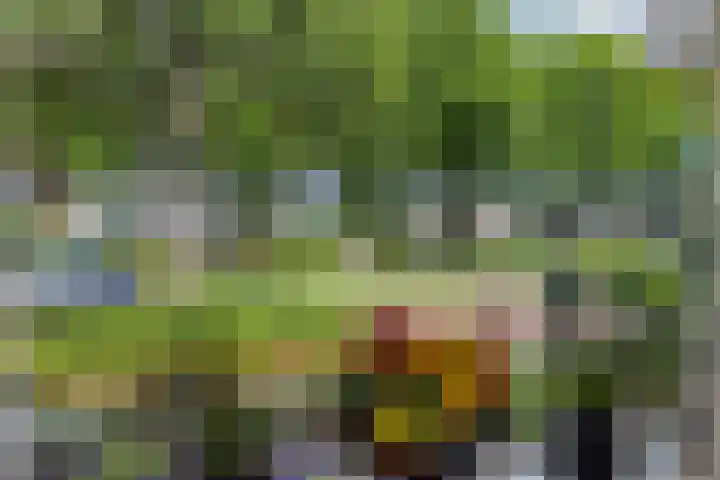 Volgerland 12 Zwijndrecht thumbnail 10