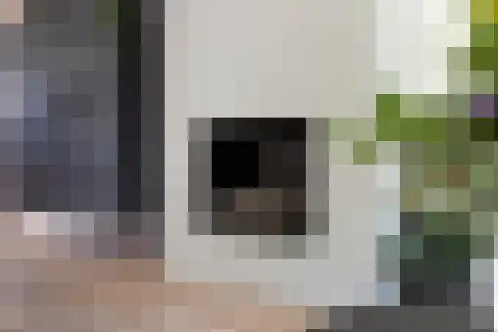 Volgerland 12 Zwijndrecht thumbnail 11