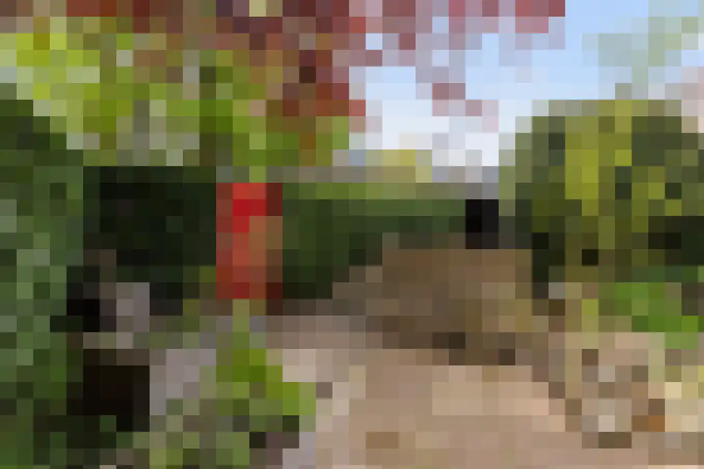 Volgerland 8 Zwijndrecht thumbnail 26