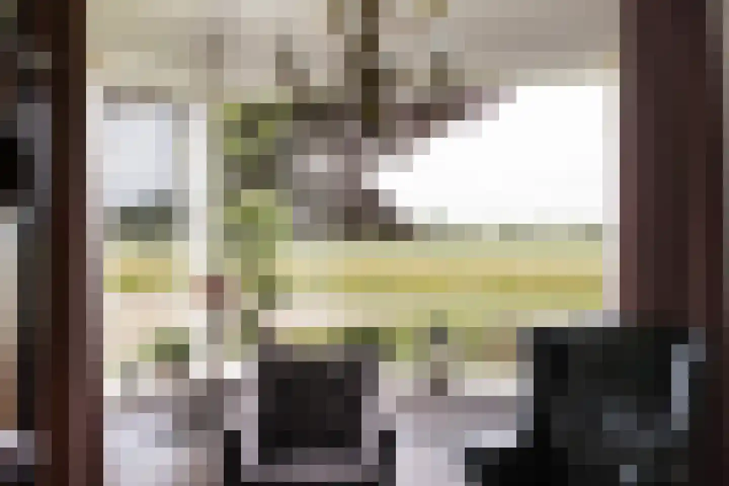 Volgerlandseweg 2 a Numansdorp thumbnail 17