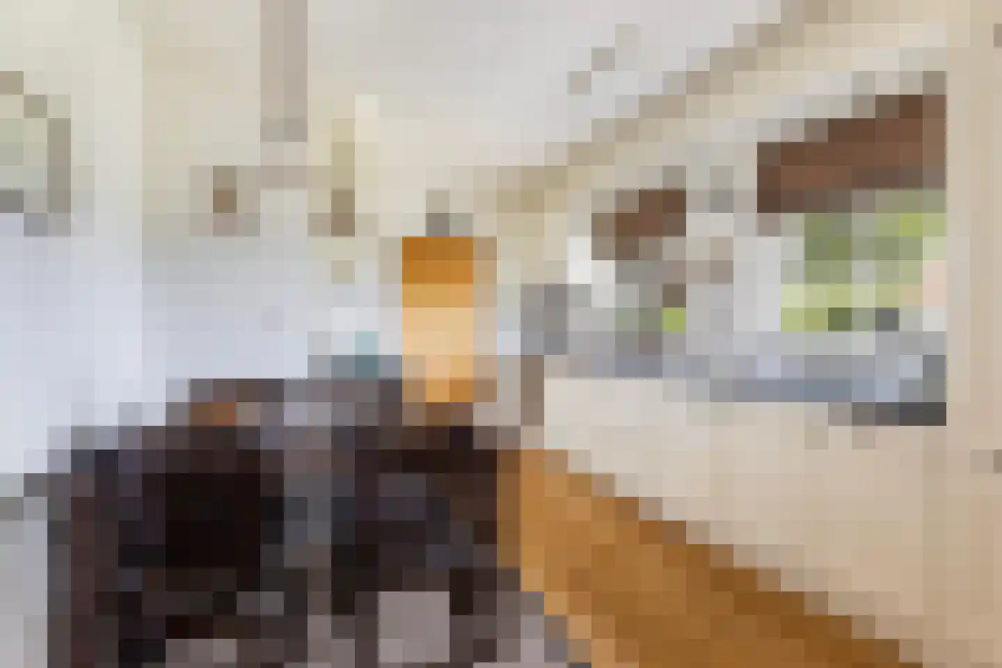Volgerlandseweg 2 a Numansdorp thumbnail 19