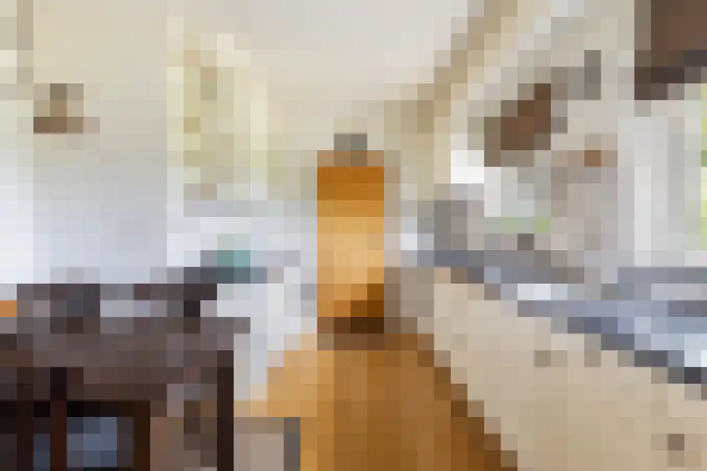 Volgerlandseweg 2 a Numansdorp thumbnail 20