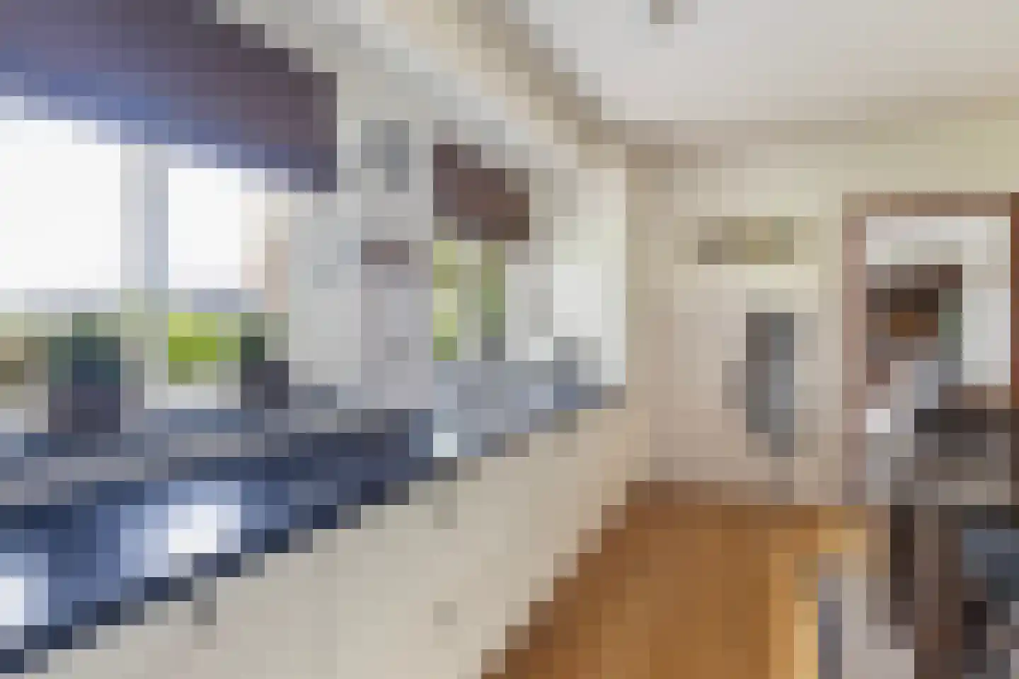 Volgerlandseweg 2 a Numansdorp thumbnail 21