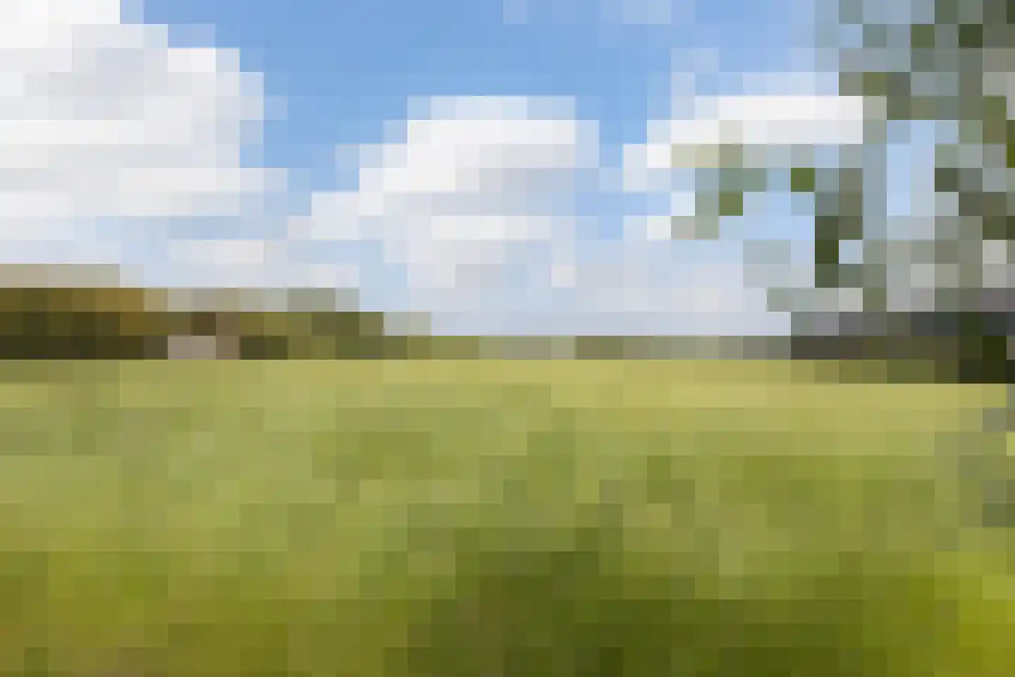 Volgerlandseweg 2 a Numansdorp thumbnail 48