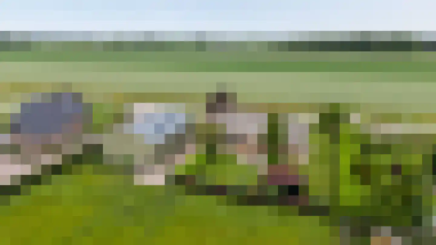 Volgerlandseweg 2 a Numansdorp thumbnail 49