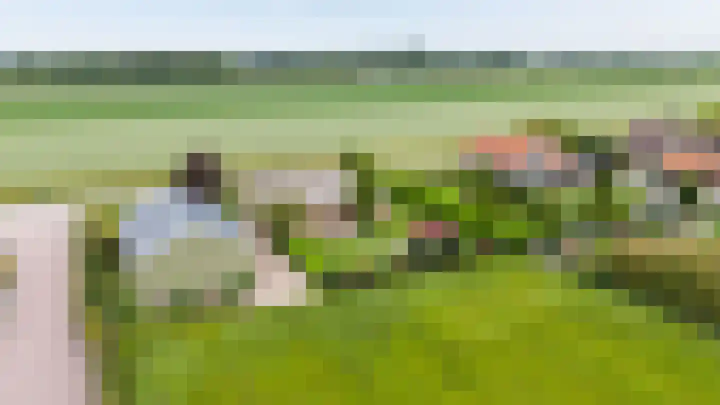 Volgerlandseweg 2 a Numansdorp thumbnail 50