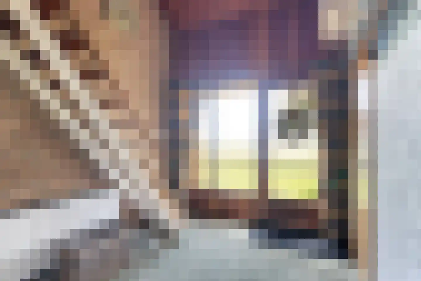 Volgerlandseweg 2 a Numansdorp thumbnail 9