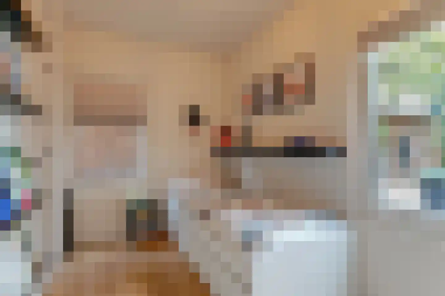 Volgerweg 107 Zuidoostbeemster thumbnail 21
