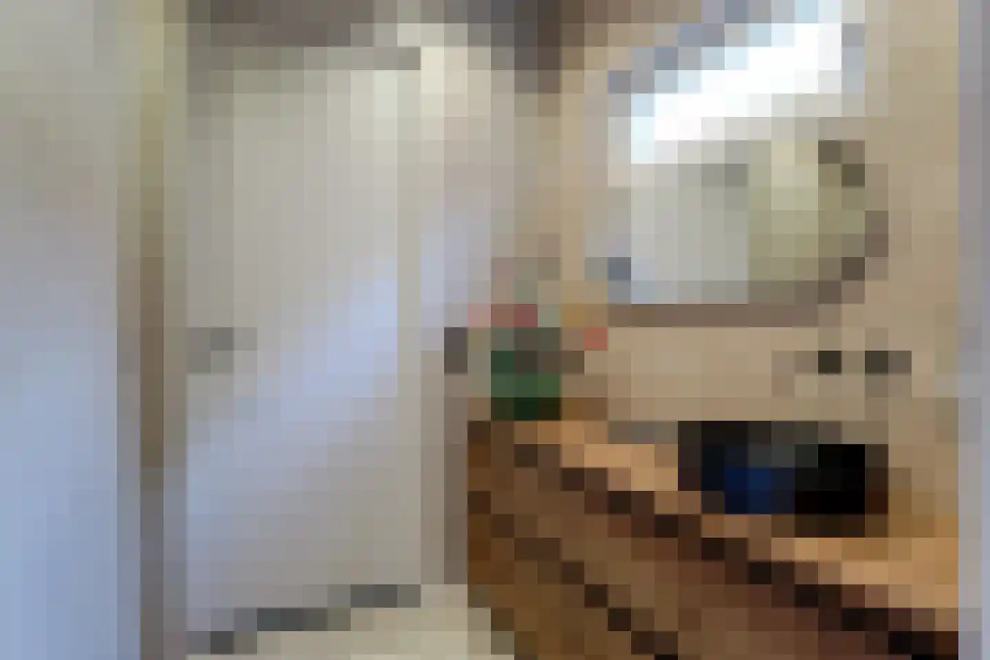 Volgerweg 107 Zuidoostbeemster thumbnail 23