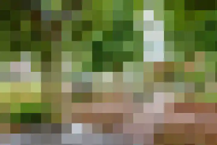 Volgerweg 108 Zuidoostbeemster thumbnail 15