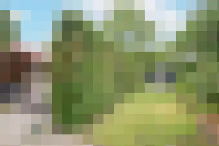 Volgerweg 108 Zuidoostbeemster thumbnail 58