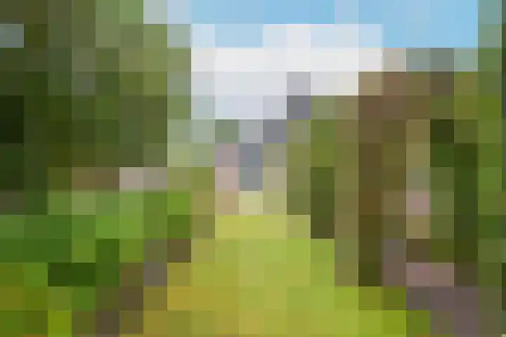 Volgerweg 108 Zuidoostbeemster thumbnail 63