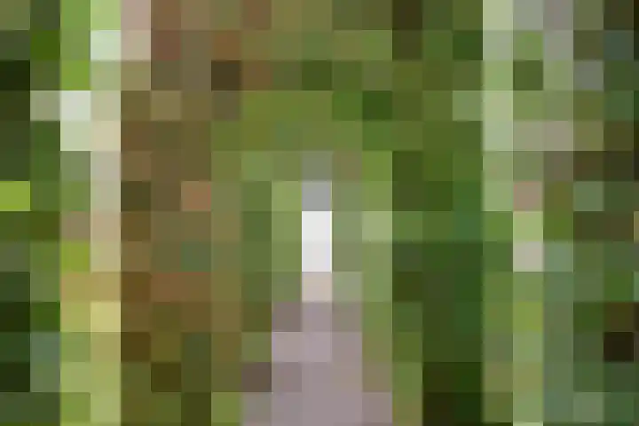 Volgerweg 108 Zuidoostbeemster thumbnail 64