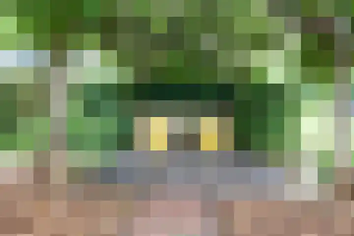 Volgerweg 108 Zuidoostbeemster thumbnail 67