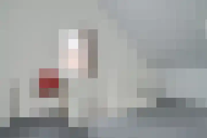 Volharding 10 Varsseveld thumbnail 23