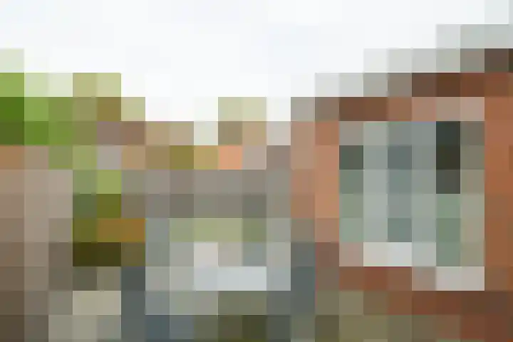 Volharding 10 Varsseveld thumbnail 26