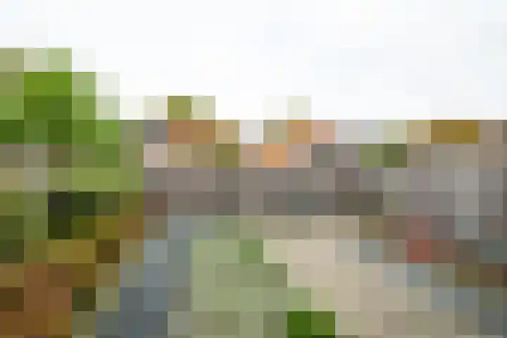 Volharding 10 Varsseveld thumbnail 27