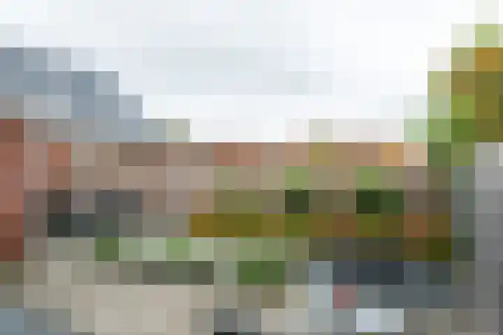 Volharding 10 Varsseveld thumbnail 28
