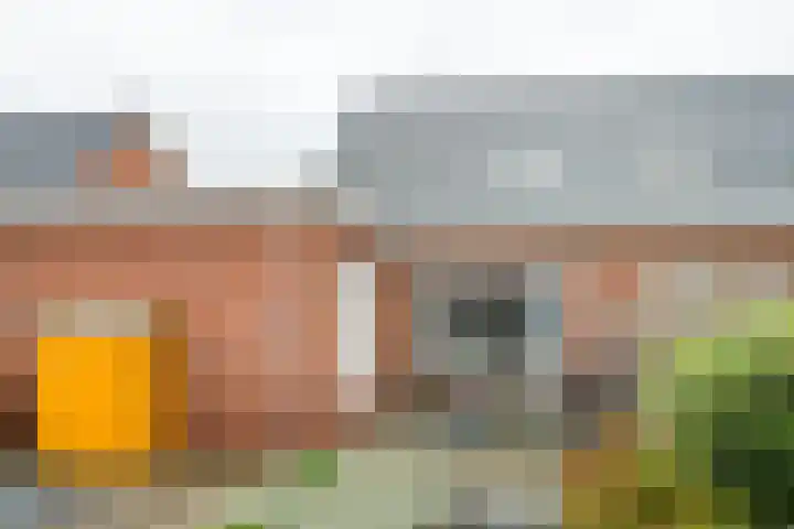 Volharding 10 Varsseveld thumbnail 29