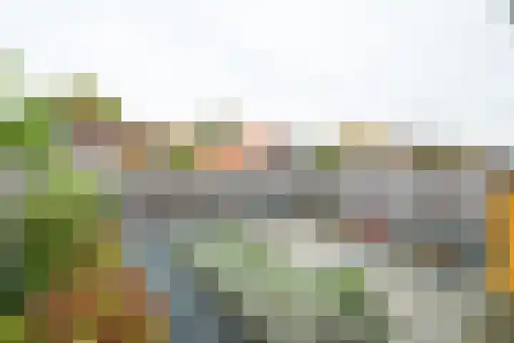Volharding 10 Varsseveld thumbnail 5