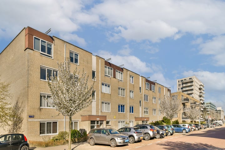 Volharding 12 en Amsterdam foto