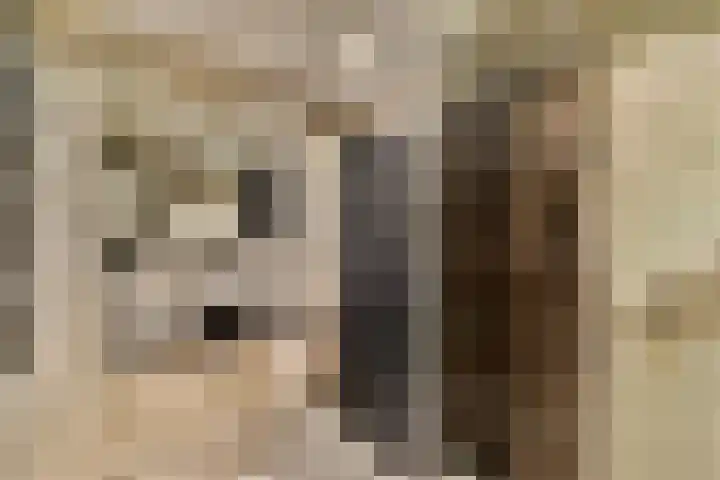 Volharding 12 Amsterdam thumbnail 13