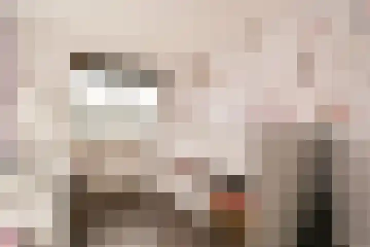 Volharding 12 Amsterdam thumbnail 15