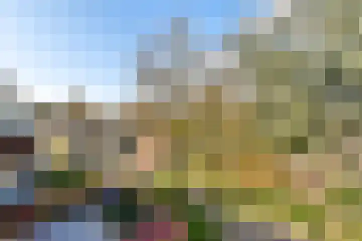 Volharding 12 Amsterdam thumbnail 24