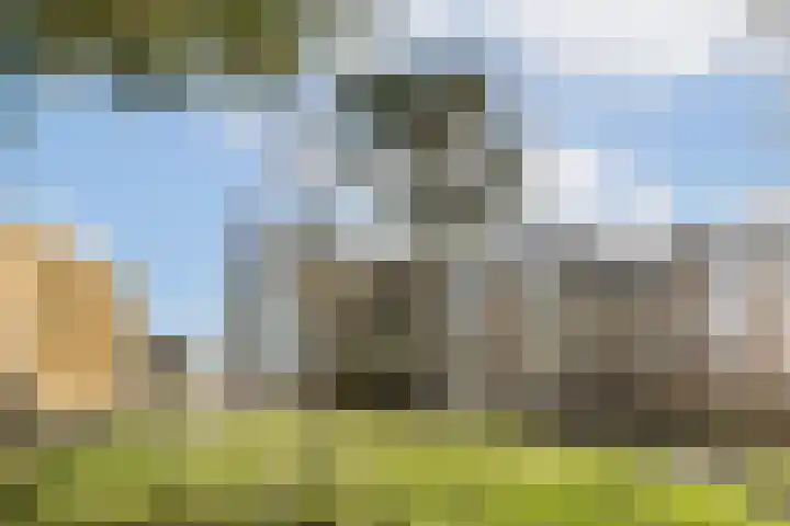 Volharding 12 Amsterdam thumbnail 27