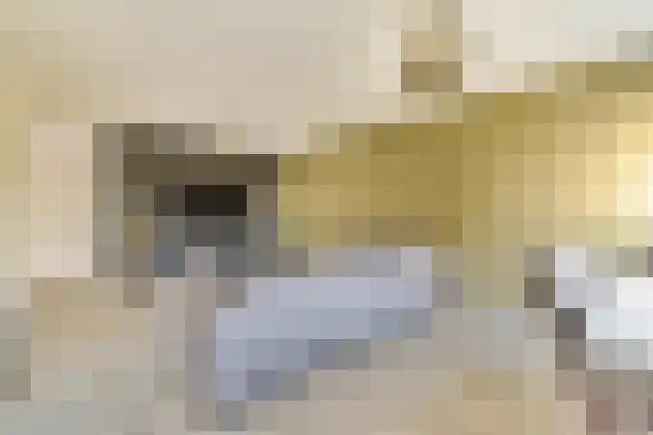 Volharding 12 Amsterdam thumbnail 5