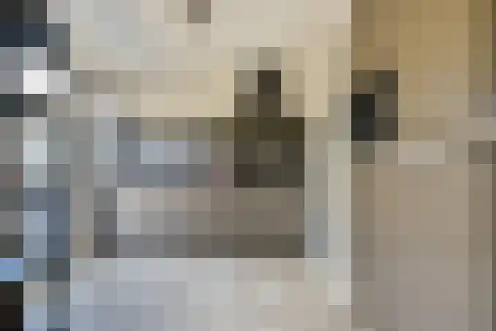 Volharding 12 Amsterdam thumbnail 7