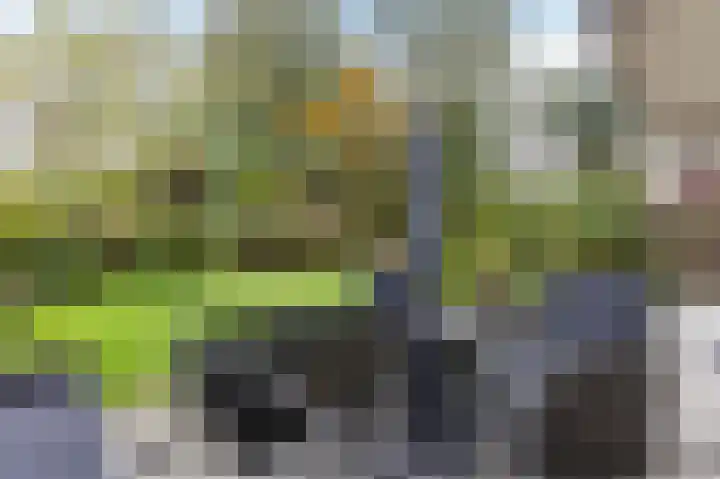Volharding 36 Amsterdam thumbnail 48