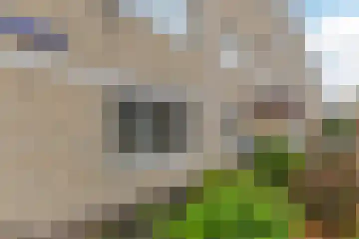 Volharding 36 Amsterdam thumbnail 5
