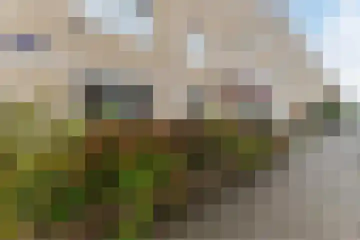 Volharding 36 Amsterdam thumbnail 6