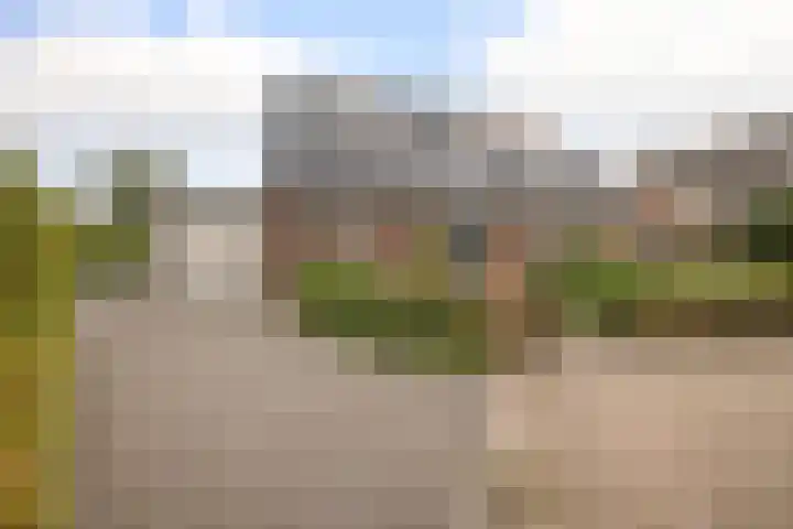 Volière 3 Ouderkerk aan den IJssel thumbnail 10