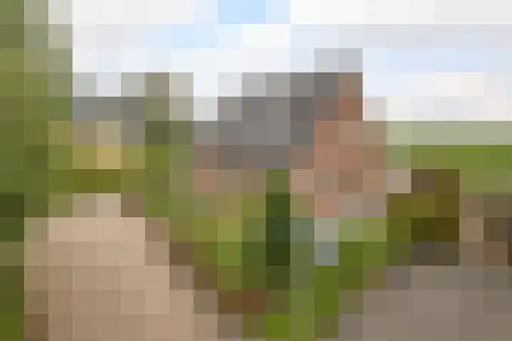Volière 3 Ouderkerk aan den IJssel thumbnail 11