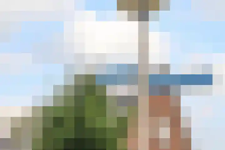 Volière 3 Ouderkerk aan den IJssel thumbnail 12