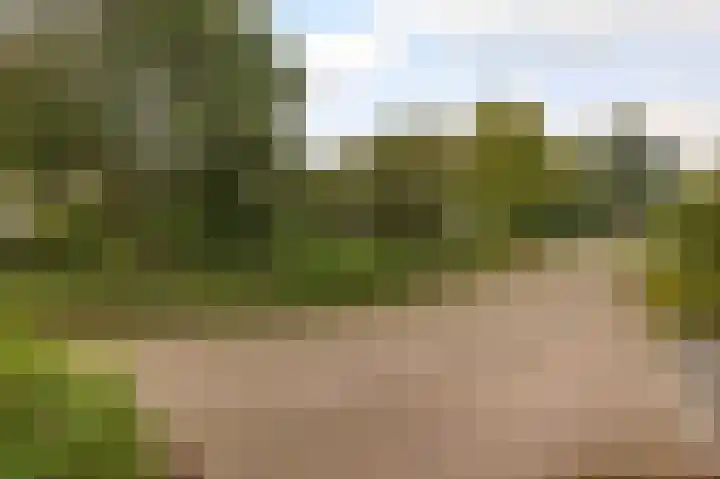 Volière 3 Ouderkerk aan den IJssel thumbnail 13