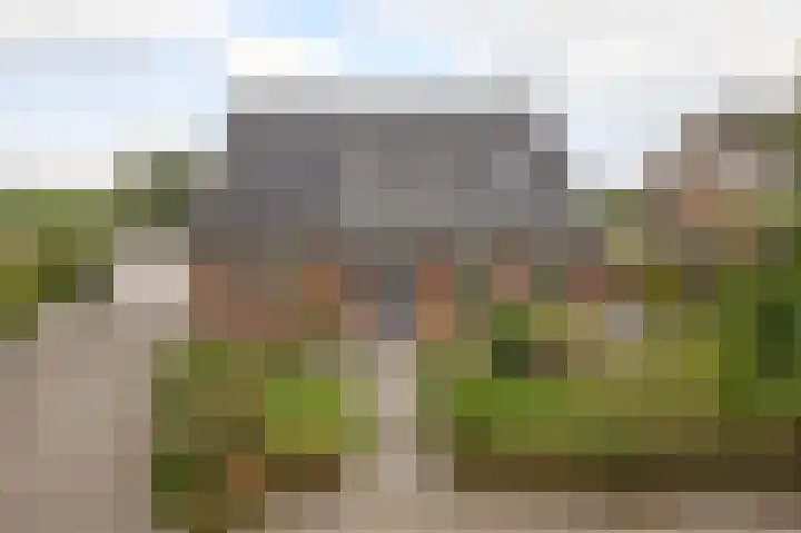 Volière 3 Ouderkerk aan den IJssel thumbnail 14