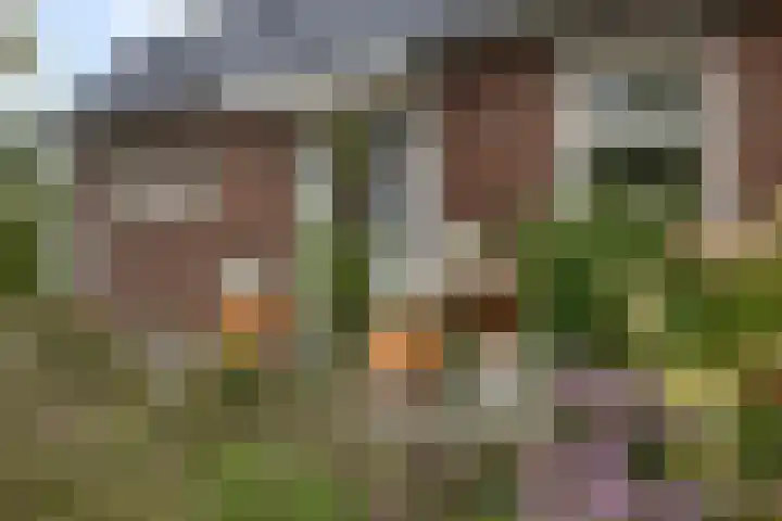 Volière 3 Ouderkerk aan den IJssel thumbnail 16