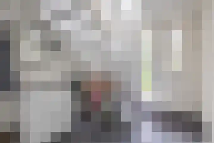 Volière 3 Ouderkerk aan den IJssel thumbnail 18