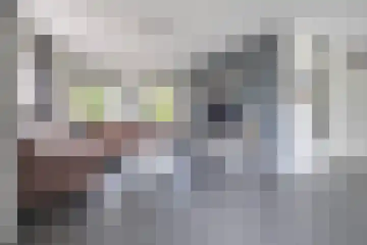 Volière 3 Ouderkerk aan den IJssel thumbnail 23