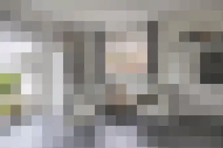 Volière 3 Ouderkerk aan den IJssel thumbnail 26