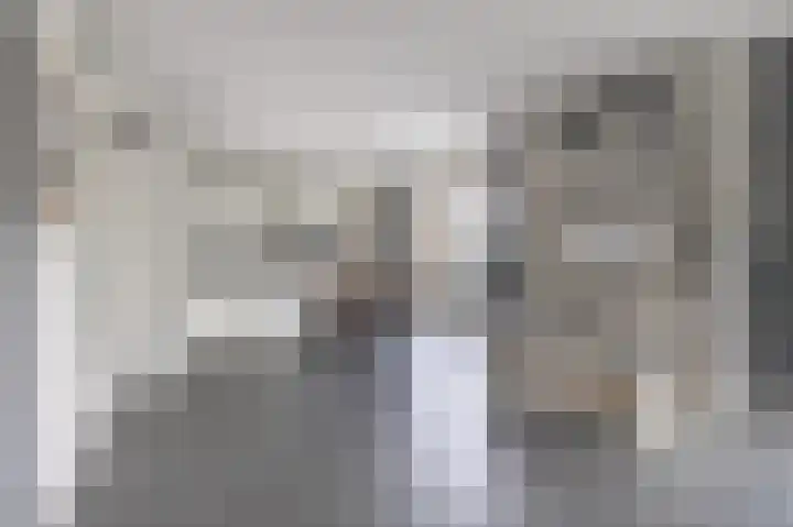 Volière 3 Ouderkerk aan den IJssel thumbnail 27