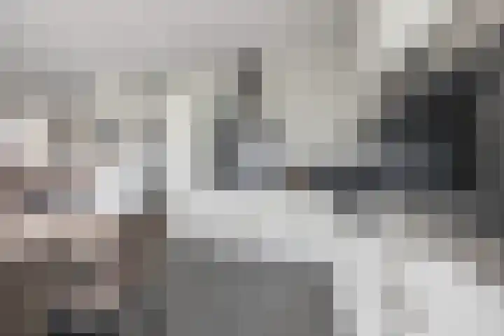 Volière 3 Ouderkerk aan den IJssel thumbnail 29