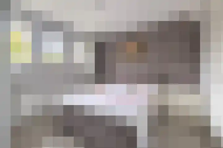 Volière 3 Ouderkerk aan den IJssel thumbnail 34