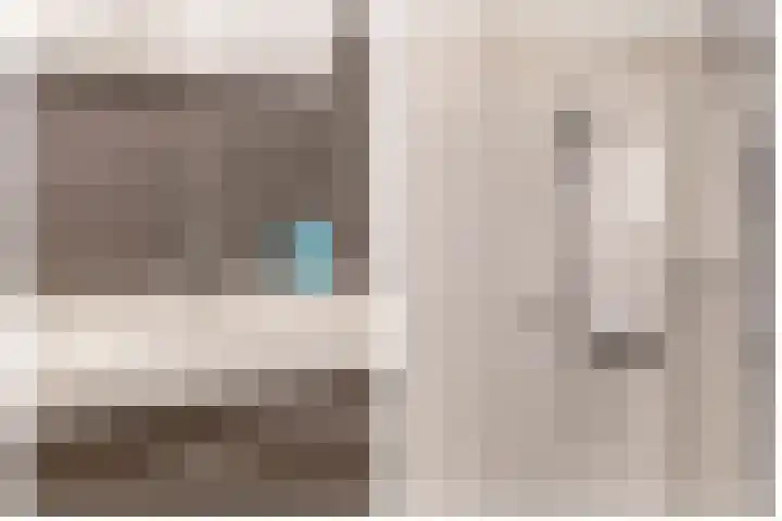 Volière 3 Ouderkerk aan den IJssel thumbnail 37