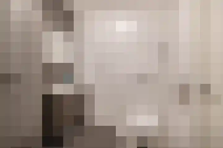 Volière 3 Ouderkerk aan den IJssel thumbnail 38