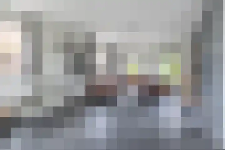 Volière 3 Ouderkerk aan den IJssel thumbnail 4