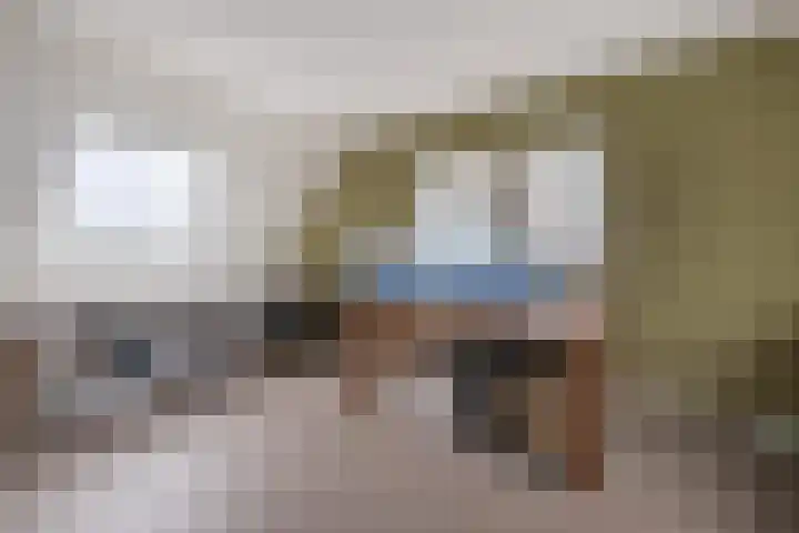 Volière 3 Ouderkerk aan den IJssel thumbnail 41
